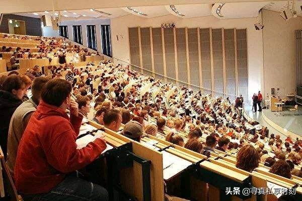 木命忌讳做什么行业（木命适合做什么行业最佳）
