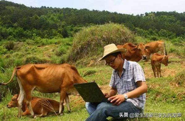 在农村干什么挣钱?（农村4个有前景赚钱快的创业项目推荐）