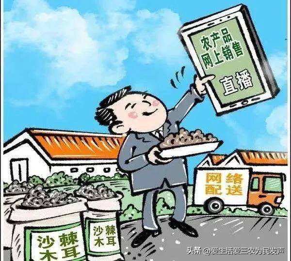 在农村干什么挣钱?（农村4个有前景赚钱快的创业项目推荐）