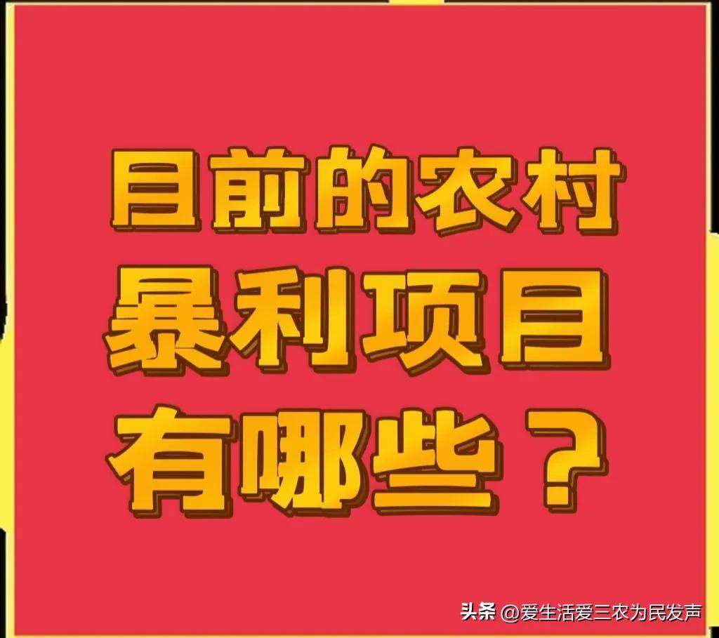在农村干什么挣钱?（农村4个有前景赚钱快的创业项目推荐）