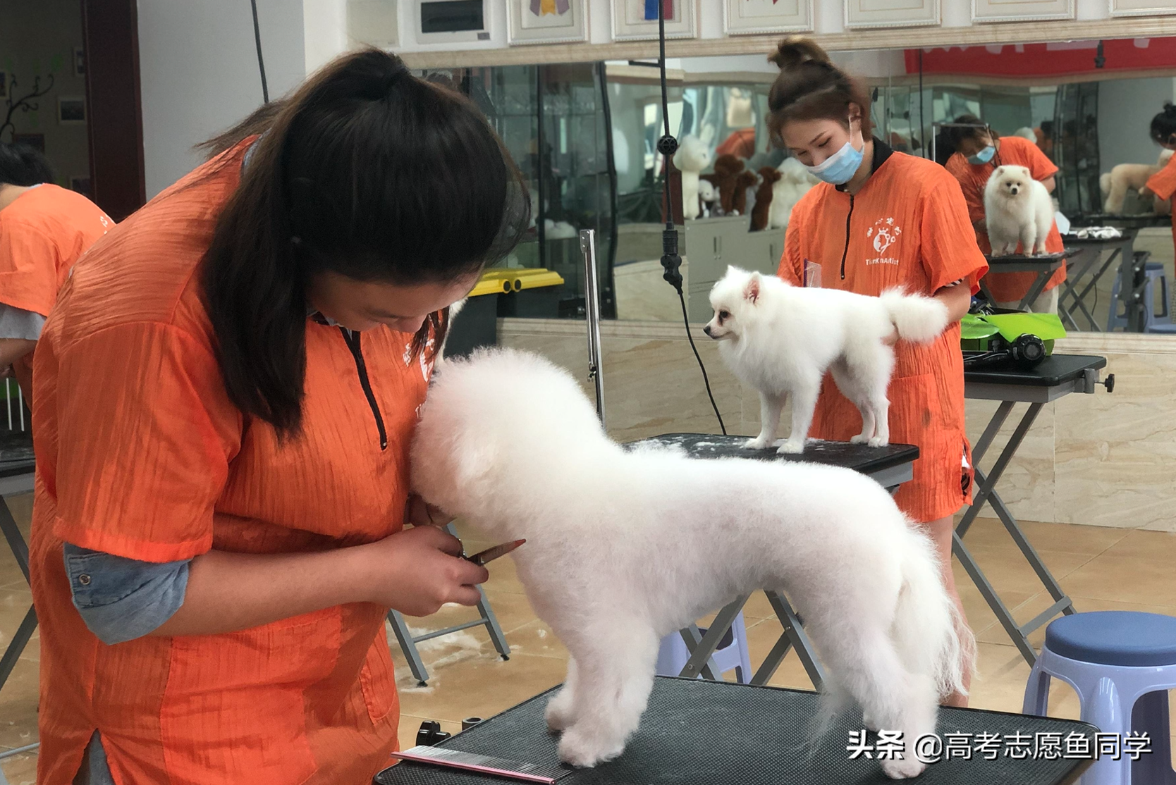 没有学历学什么技术前景好（8个适合男女生的最吃香专业分析）