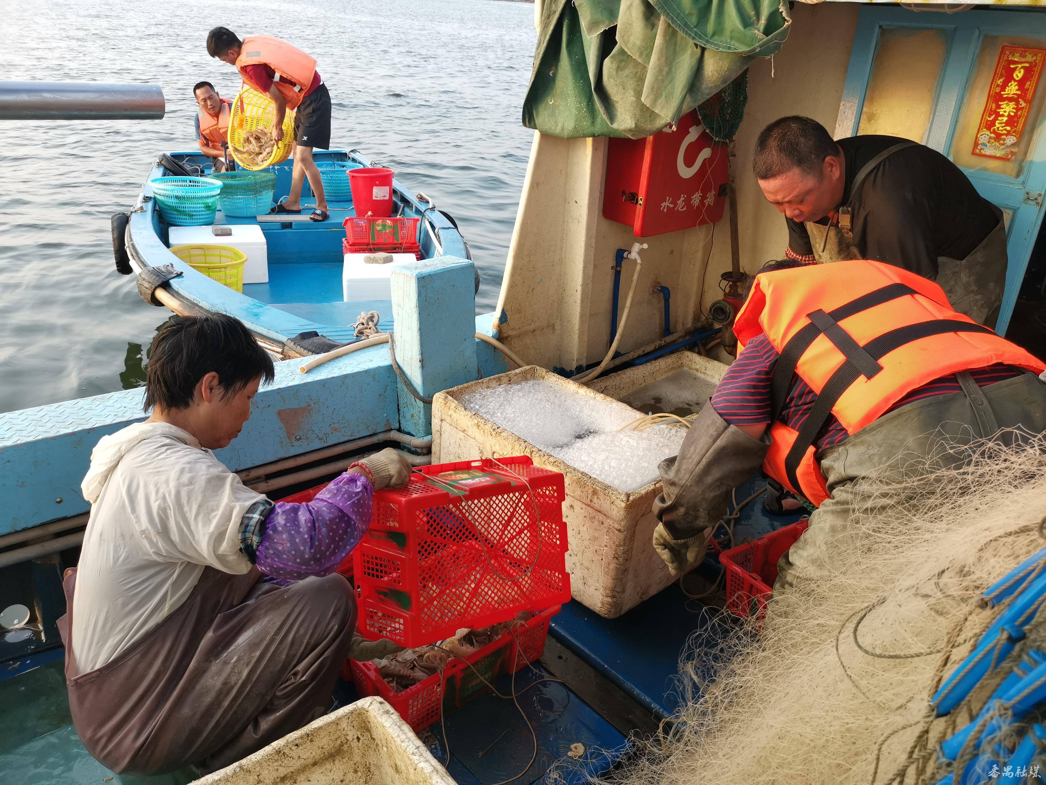 现在出海打鱼一年能挣多少钱（怎么实现日均收入2000元）