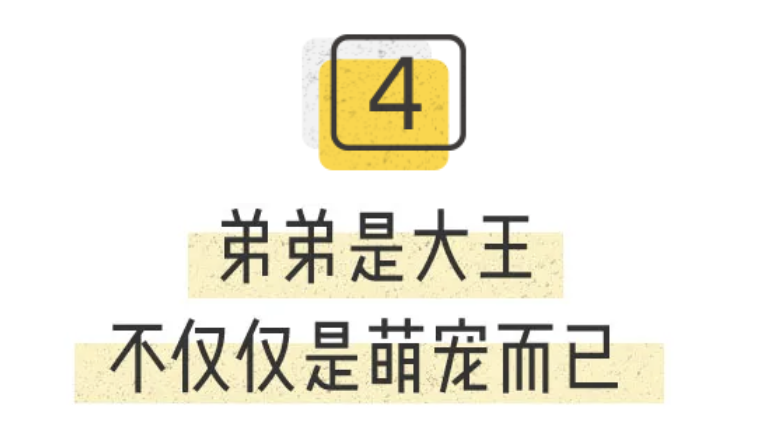 抖音特效制作可以赚钱吗如何实现（4位抖音特效师采访实录）