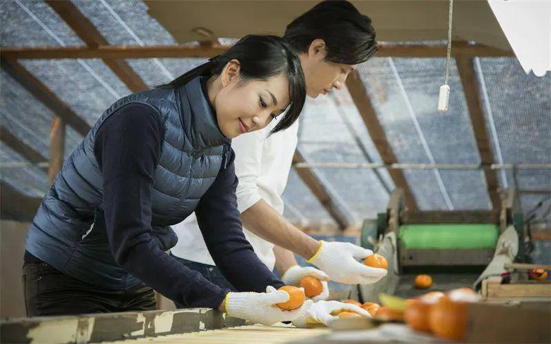 家庭办厂有哪些好项目容易赚钱（纯利润50万以上）