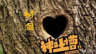 兼职学生网上赚钱有哪些正规的项目（14个项目详细分析）