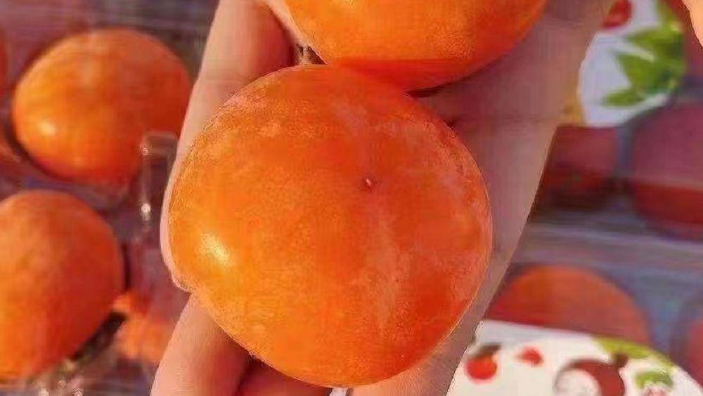 开一家水果店需要多少资金呢（具体成本分析）
