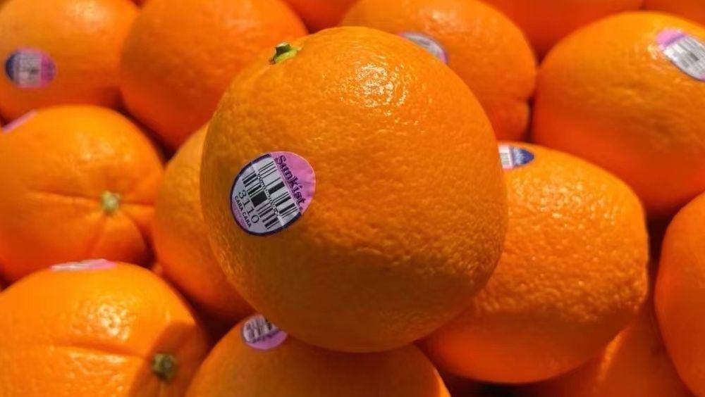 开一家水果店需要多少资金呢（8个实际开店经验分享）