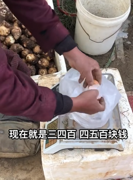 卖菜能挣多少钱呢?一般利润是多少（看存款百万的老大爷怎么说）
