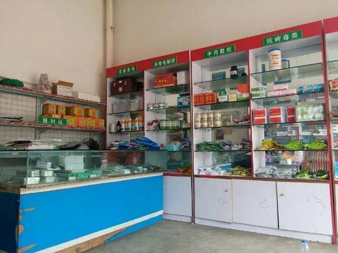 适合农村开的种实体店项目（5个最赚钱）