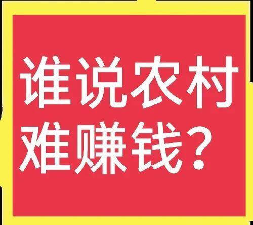 适合农村开的种实体店项目（5个最赚钱）
