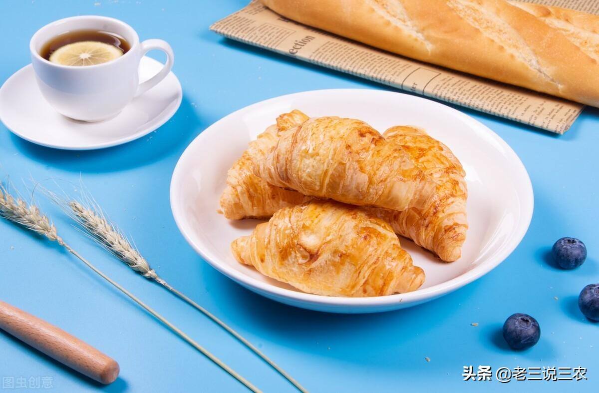 兔子养殖的利润有多少（养猪的两倍）