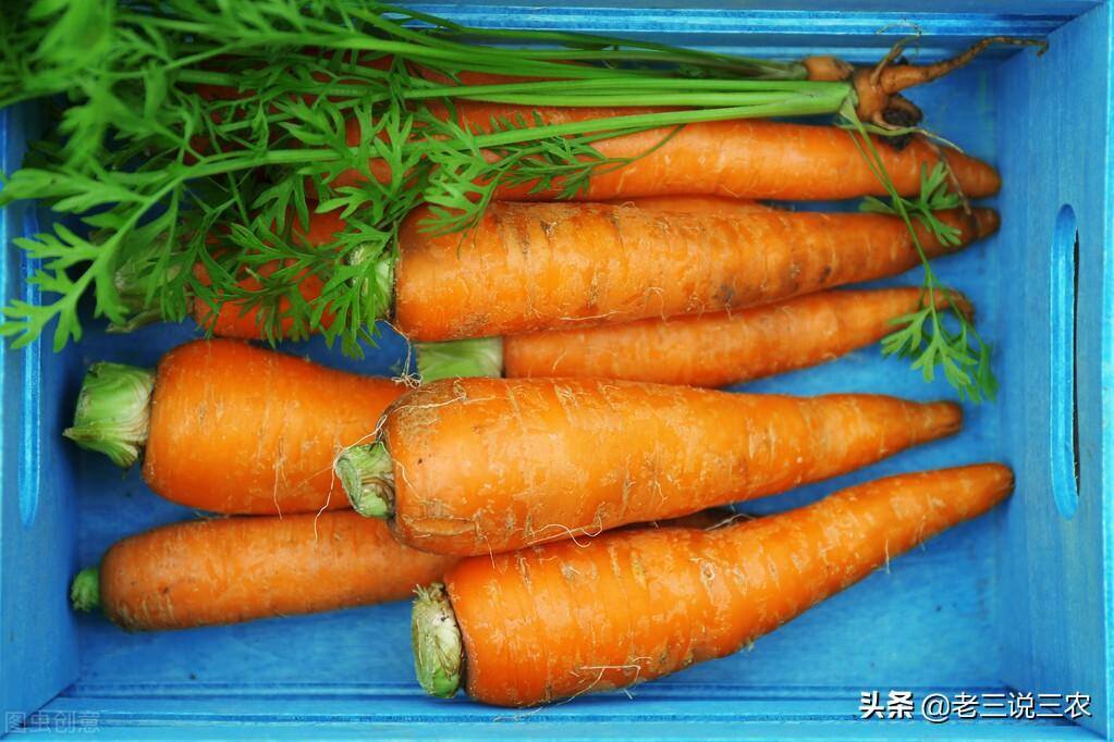 兔子养殖的利润有多少（养猪的两倍）