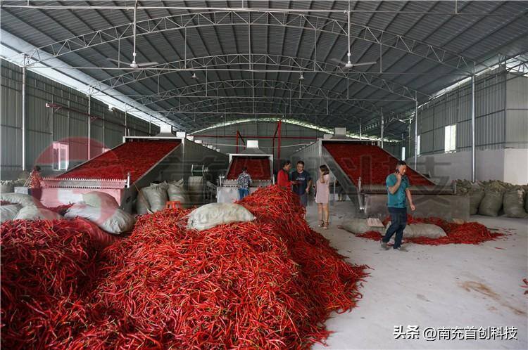 大型辣椒烘干设备多少钱一套？（型号不同价格不同）