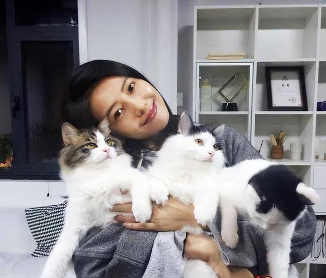 养猫好吗（养猫有这7大好处！不瞒你说，这是有科学依据的，别不信！）