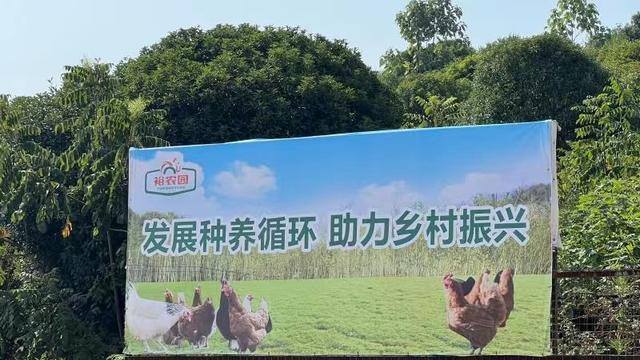 裕农园养鸡158天怎么利润那么高（裕农园：生态养殖助力乡村振兴）