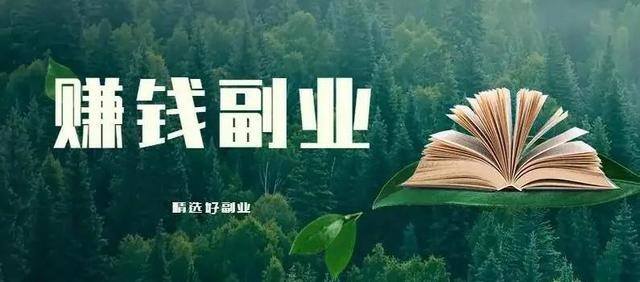 挣钱是玩快手还是抖音（在家就能做的靠谱副业方法）