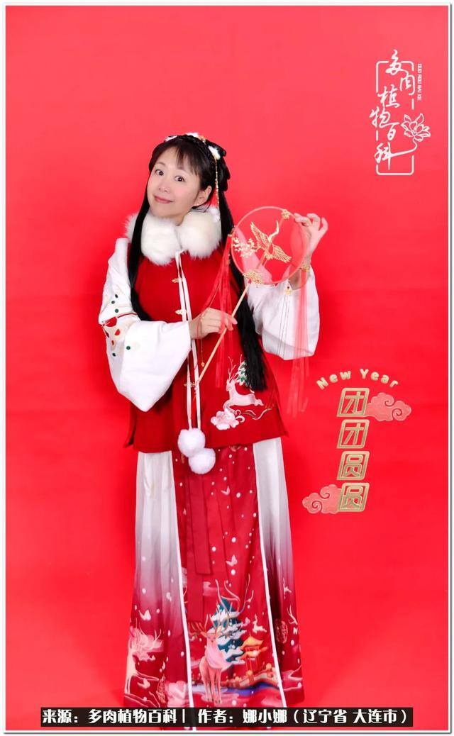七彩糯糯摆摊挣钱吗（【娜小娜的生活日记】）