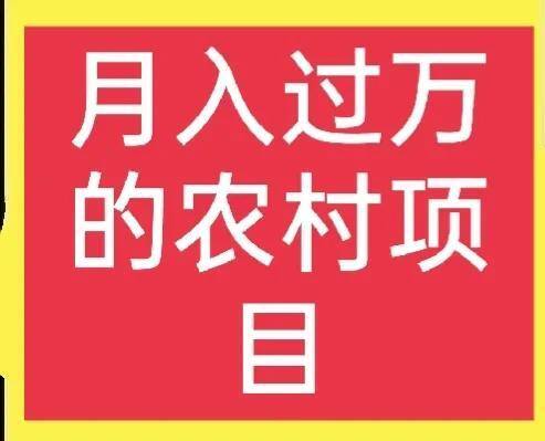 农村发展致富项目大全（农村创业有哪些好项目？）