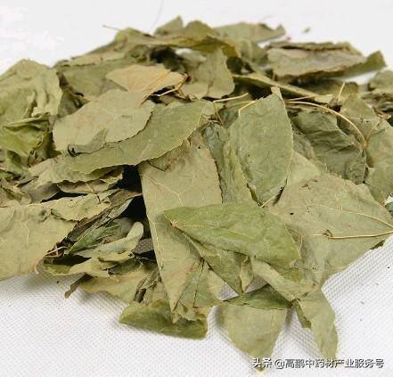 药材种植前景（2019年中药材行情分析）