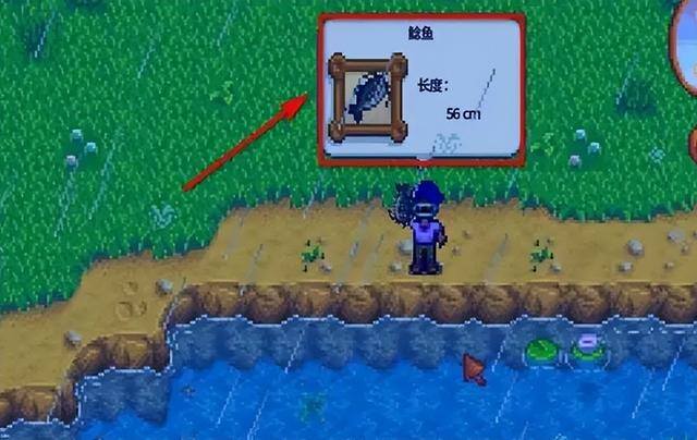 星露谷物语稻草人怎么做（星露谷物语不钓鱼怎么开？）