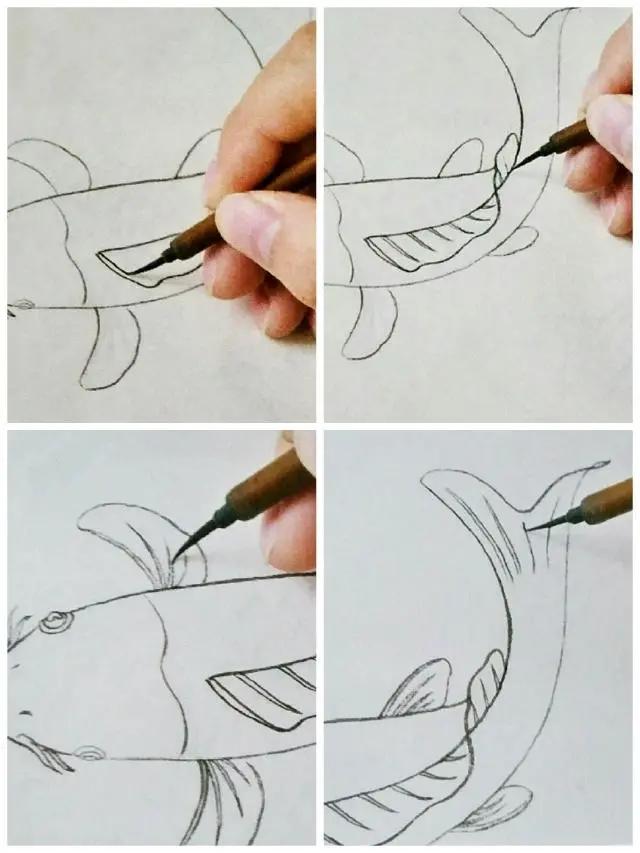 水墨画怎么画简单又漂亮（锦鲤鱼的画法）
