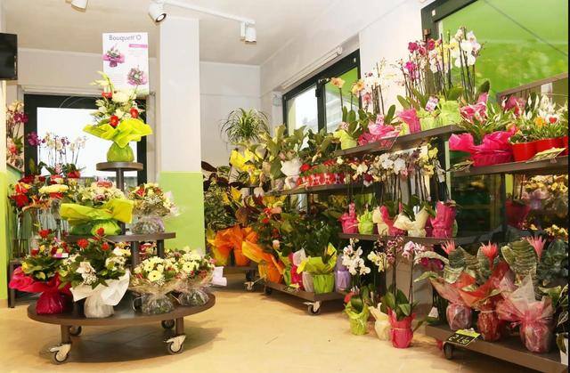 小县城适合开什么店最容易赚钱（县城里面干什么生意赚钱？）
