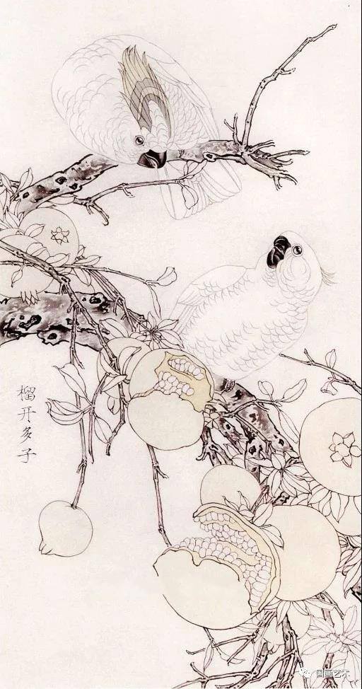 石榴怎么画简单又好看（工笔石榴《榴开多子》画法步骤）