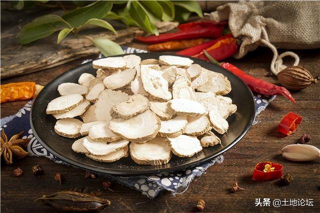 药材种植哪种利润高（一年种一年收的药材）