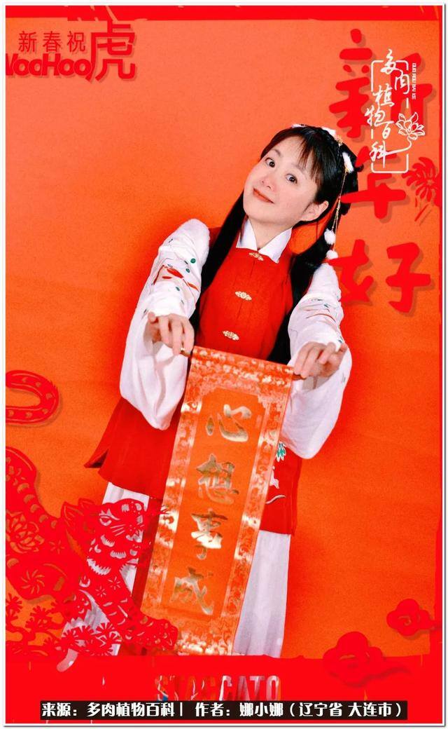 七彩糯糯摆摊挣钱吗（【娜小娜的生活日记】）