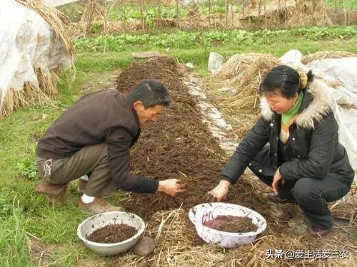 养蚯蚓真的可以赚钱吗（蚯蚓的养殖成本需要多少？）