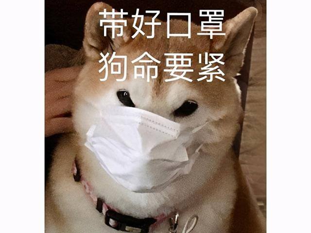 游戏赚（2018年上半年全球手游收入排行榜出炉：《王者荣耀》和《pubgm》）
