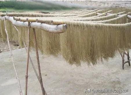 国家扶持农村办厂有哪些项目（农村做什么加工项目好？）