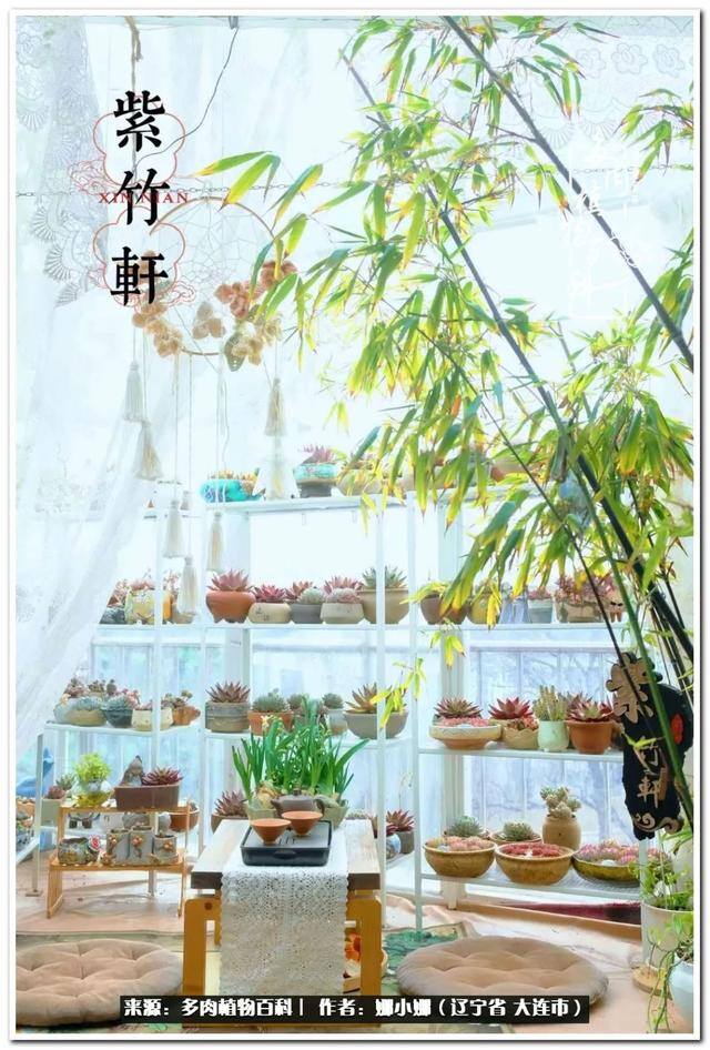 七彩糯糯摆摊挣钱吗（【娜小娜的生活日记】）