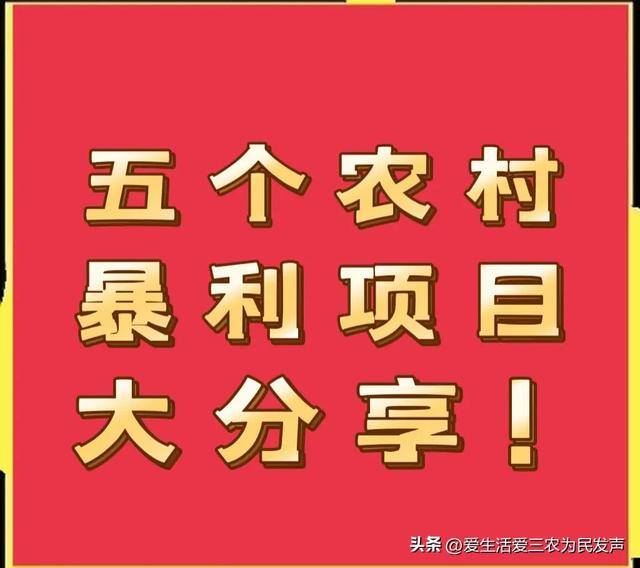 乡下种植什么最赚钱（在农村做废品打包站赚钱吗？）