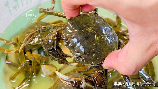 螃蟹怎么养殖方法在家里（保存螃蟹时，万万不可直接放冰箱，放7天都鲜活，还不变瘦！）