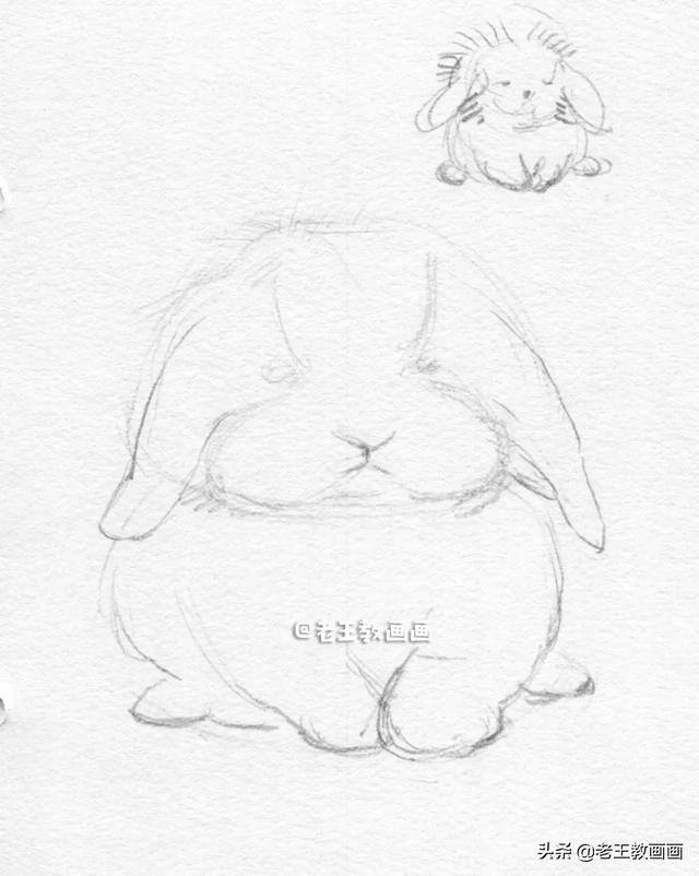 铅笔怎么画简单漂亮（素描小兔子hb、2b、4b铅笔即可、橡皮、棉签）