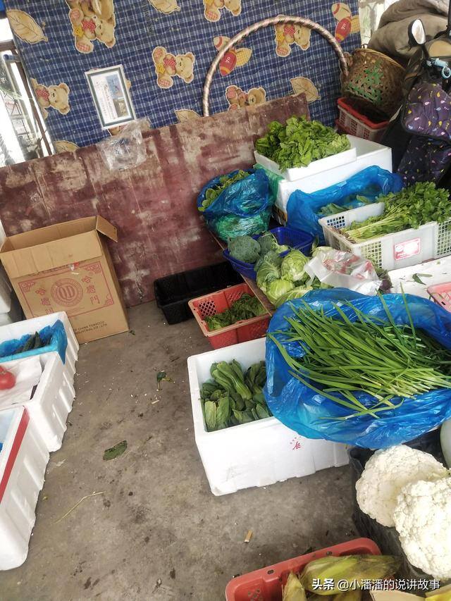 小区开个什么店生意比较好做（疫情期小区的真实记录）