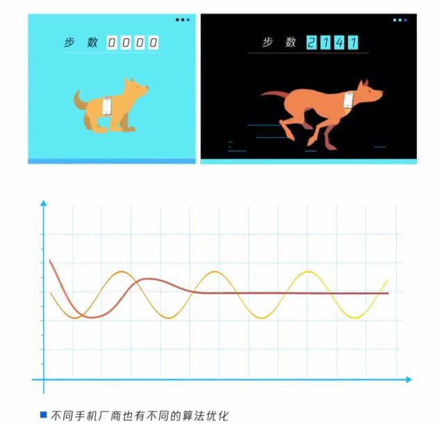 如何修改微信运动步数（将手机绑在狗狗身上，能否计入微信步数？）