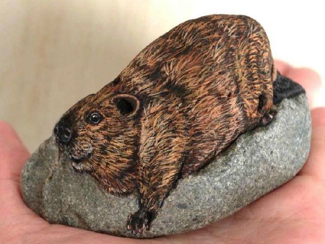 石头上画画（石头上的绘画，你们都了解吗？）
