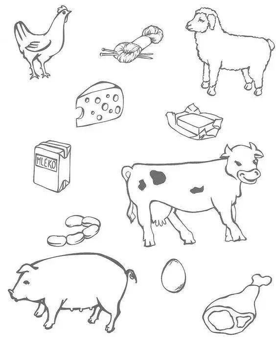 怎么画画?（2000个手帐小素材，这一年都不用买资料了！）
