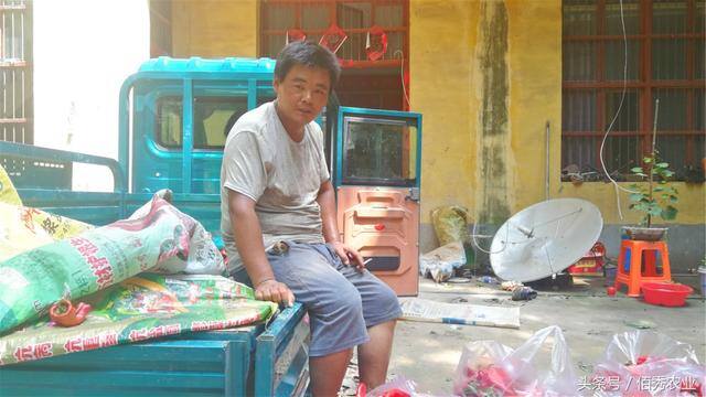 种辣椒一年一亩赚多少钱（包地搞种植，能不能赚到钱？）