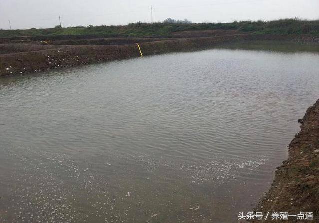 泥鳅池塘养殖（泥鳅池塘建造方法）
