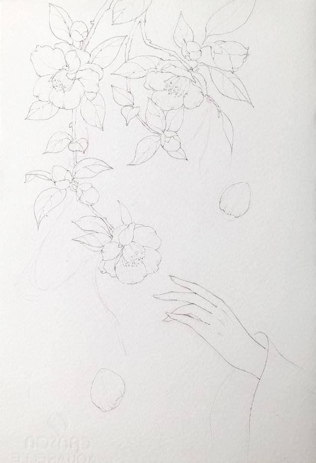 画画简单漂亮古风人物（喜欢古风手绘图吗？古风女子画法过程图）