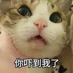 致富从养妖开始（农村小伙养水蛭，年入百万！）