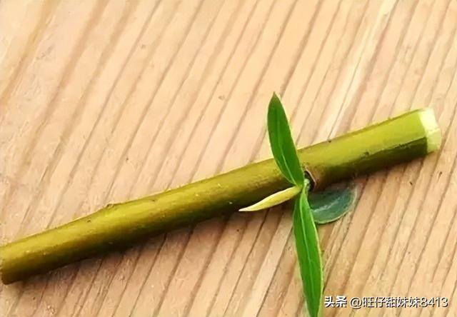 8岁做手工（70、80后童年有哪些记忆？）