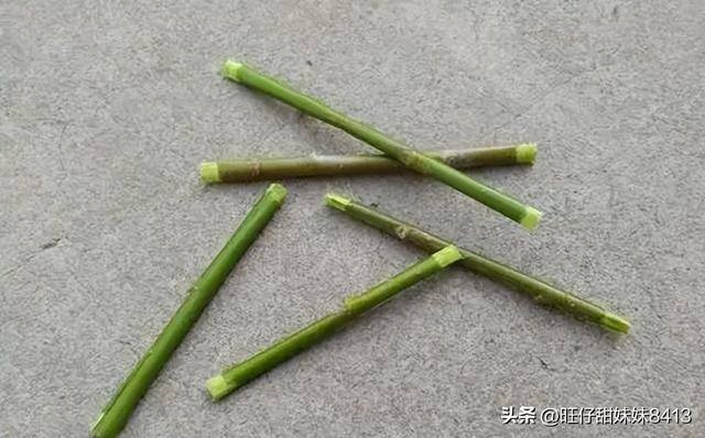 8岁做手工（70、80后童年有哪些记忆？）