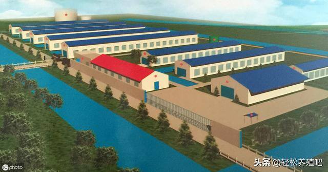 养蛋鸡一万只要投资多少钱（新建一个1万的蛋鸡养殖场，需要投入多少？）