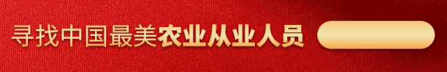 浙江女孩养殖蟾蜍致富（青蛙市场价格暴跌）