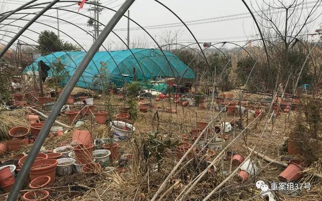 桃源人家赚钱软件（江苏仪征一女子自杀身亡）