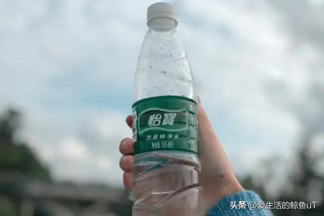初中毕业可以干什么（一个人成功的必要条件是什么？）